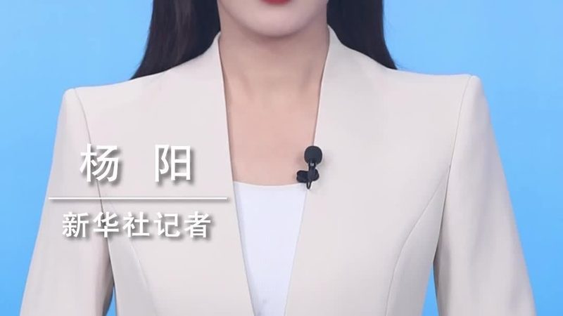 数据湖与数据仓库：成本对比解析